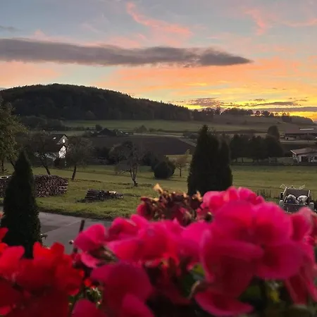 Apartamento Haus Rosa *