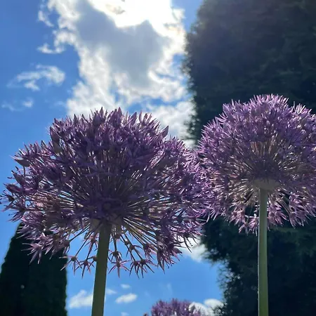 Haus Rosa Sankt Johann (Baden-Wurttemberg)