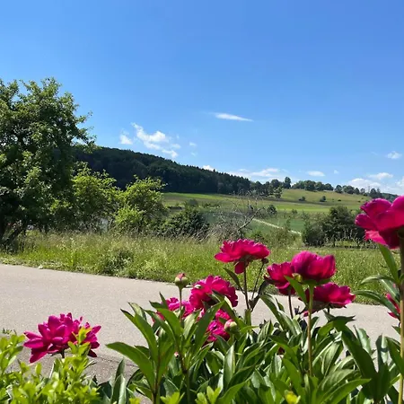 Haus Rosa * Sankt Johann (Baden-Wurttemberg)